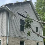 What Counts as a Tree Emergency in Northern Virginia