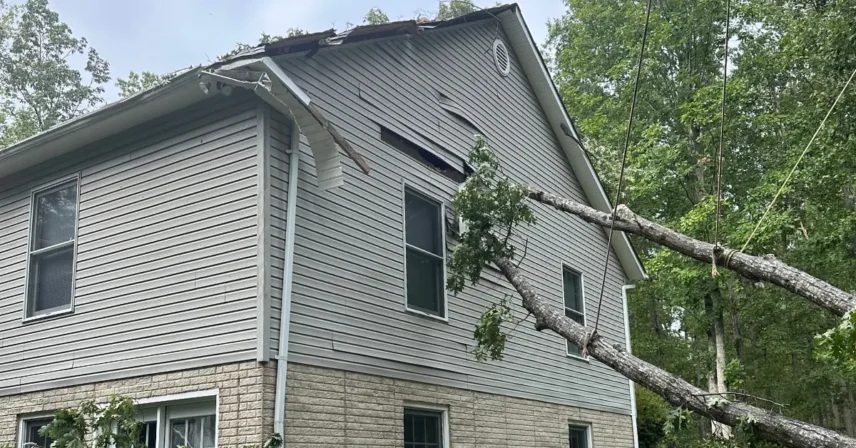 What Counts as a Tree Emergency in Northern Virginia