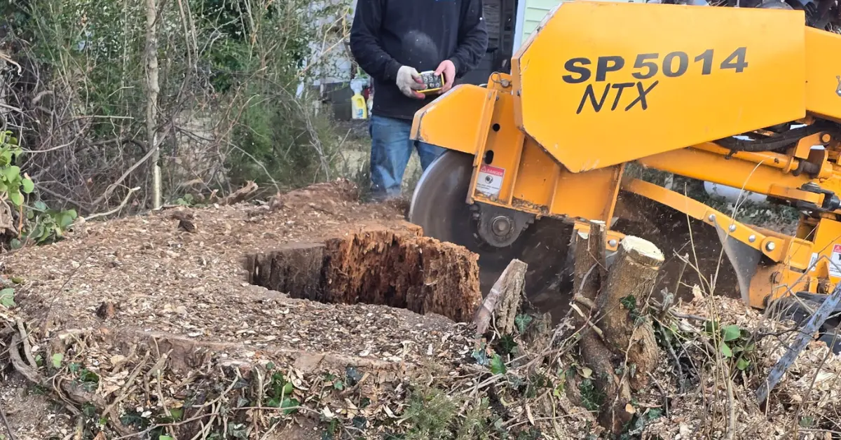 Stump Grinding