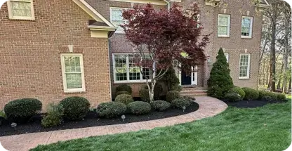 Shrub Removal & Trimming