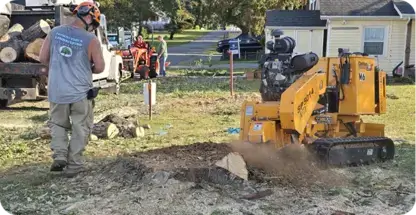 Stump Removal & Stump Grinding